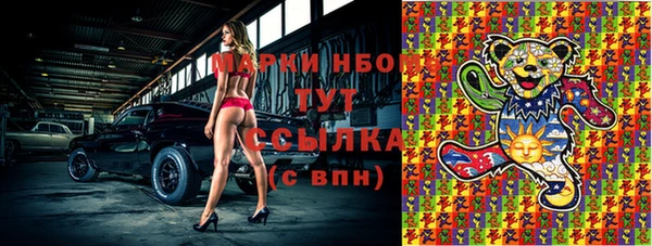 гашик Балахна