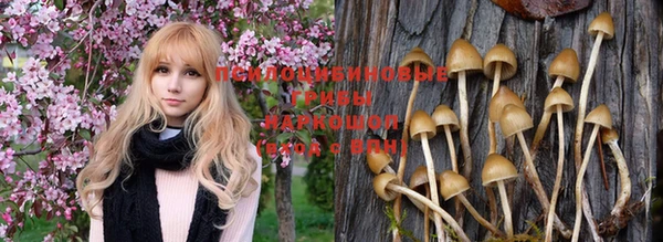 гашик Балахна