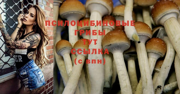 кокаин Белокуриха