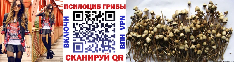 Псилоцибиновые грибы Psilocybe  Севск 
